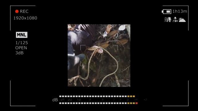 НЕСКОЛЬКО ЧАСОВ в ГОРАХ - в ПОИСКАХ ЗАБРОШКИ смотреть онлайн