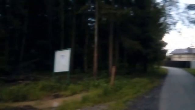 Вечерний лес в Подмосковье. Пение птиц на закате. 13 июня 2020 г. смотреть онлайн