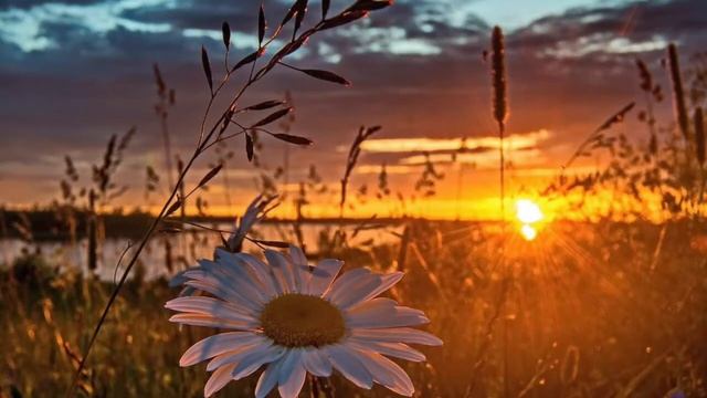 "Осень". Муз. О. Черевко, сл. Е. Вознюк, исп. Маргарита Славецкая, Анна Косатая смотреть онлайн