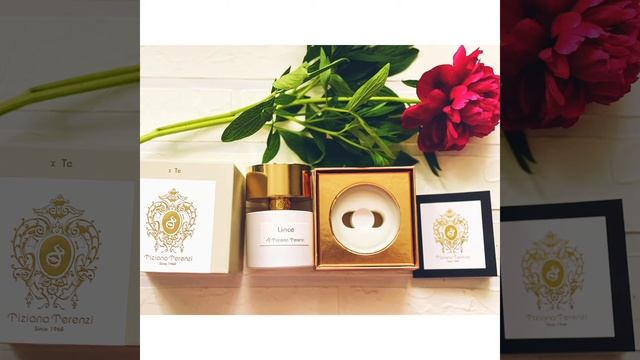 Tiziana Terenzi Lince