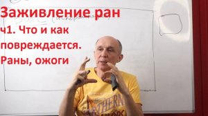Заживление ран. ч1. Природа повреждений, раны, ожоги