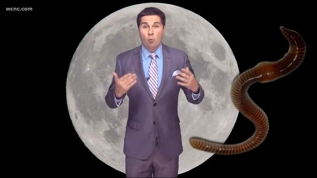 Winter's last full moon to appear on Monday смотреть онлайн