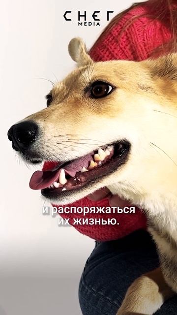 Живая мишень смотреть онлайн