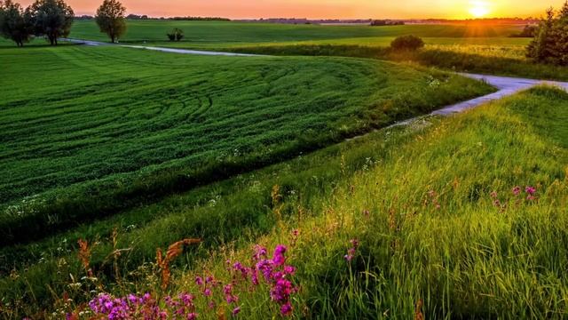 Tushlarimga kiring Yo Rasululloh. Nasheed смотреть онлайн