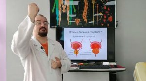 Почему возникает болезнь простаты.Доктор Голод