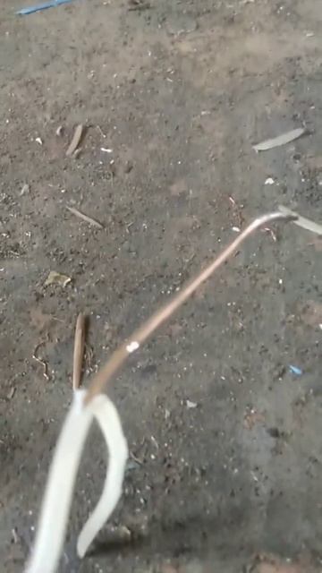 #медь #медяха #поисмеди #поисметала смотреть онлайн