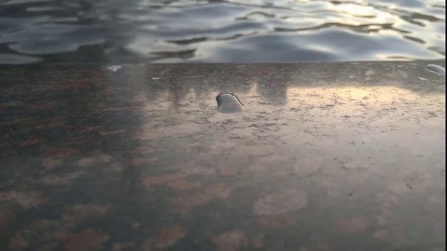 水の音/Шум падающих капель//Autonomous sensory meridian response (ASMR) смотреть онлайн