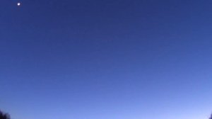 Манки от Артура Ларханиди