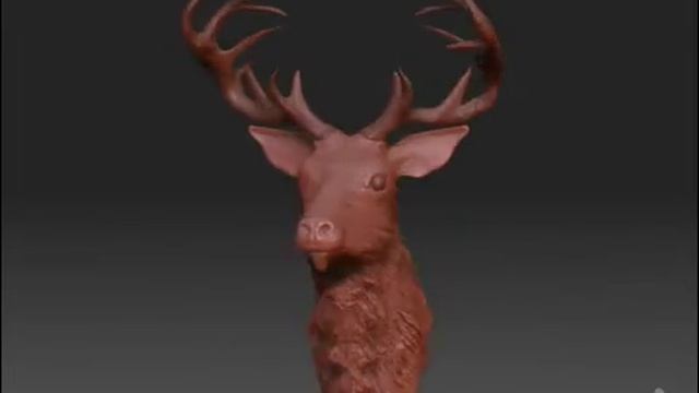 ZBrush deer смотреть онлайн