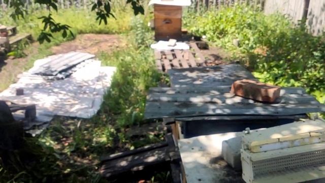 10 июня 2024 г. смотреть онлайн