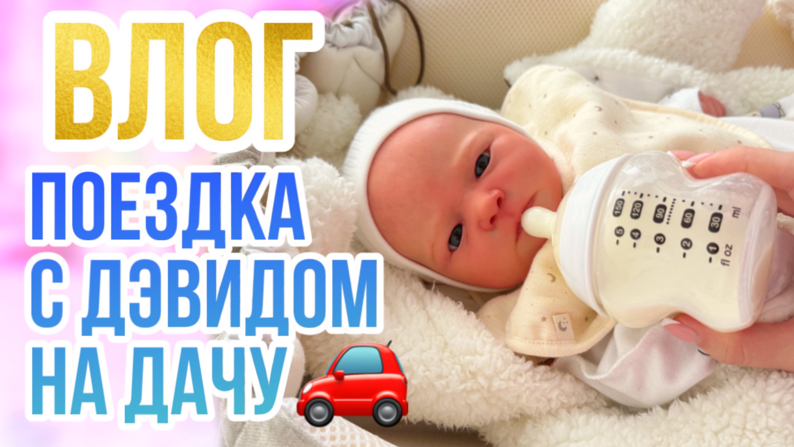 ВЛОГ с реборном Дэвидом поездка на дачу на выходные смотреть онлайн