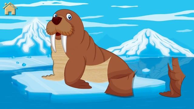 Baby Puzzles Game for Kids, (Lion, Zebra, Hippopotamus, Crocodile, Kangaroo, Giraffe, Camel, Morse) смотреть онлайн