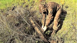 Невероятная удача! Два сброса за один заезд. Коп металлолома, вывозим весь металл.