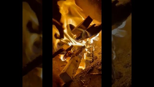 Звук горения сосны, успокаивающее живое видео!!!