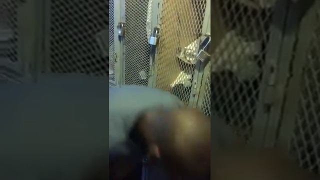 el venezolano mas moreno, video de risa смотреть онлайн