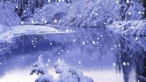 Футаж зимний лес идет снег