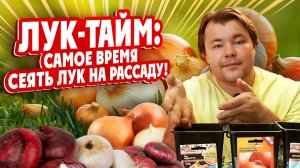 ЛУК-ТАЙМ: Самое время сеять лук на рассаду!