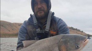 РЫБАЛКА НА ДОНУ. ОСЕНЬ