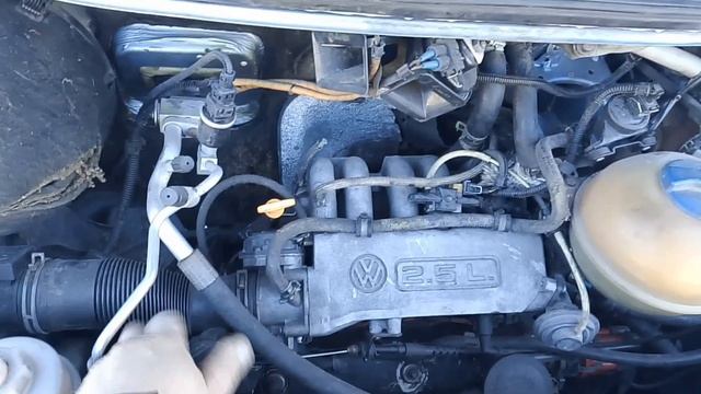 1000035157.mp4 смотреть онлайн