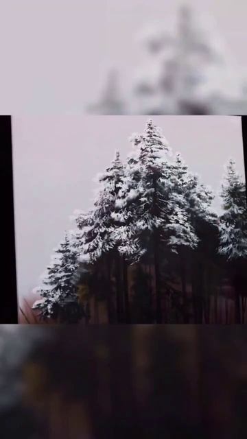 Зимний лес ❄️🌲#художник #ольгабазанова #творчество #искусство #картина #картинамаслом #зима смотреть онлайн