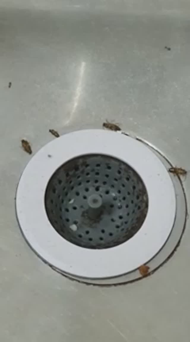 Последняя песенка спета...