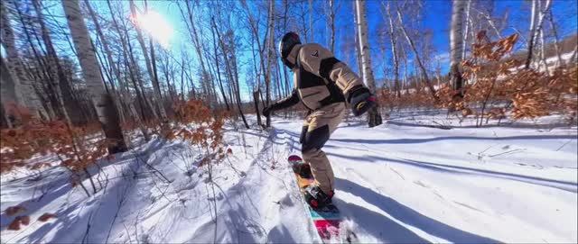 Раскатываем лес