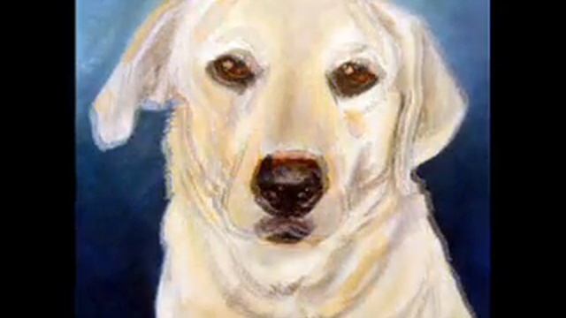 Pet Portrait Painting Process-- "Banjo" by MelissaSmithArt смотреть онлайн