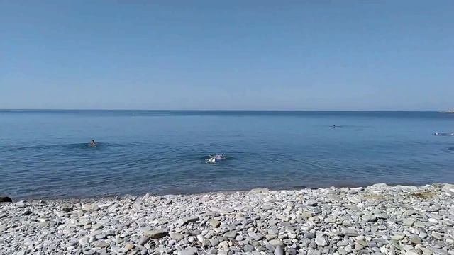 Видео. Инал 2023. смотреть онлайн
