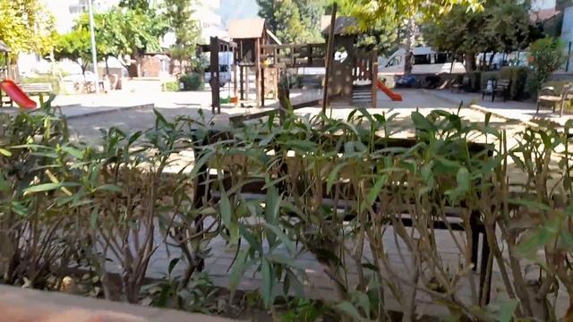 Звуки сверчков и жуков - (The sounds of crickets and beetles) смотреть онлайн