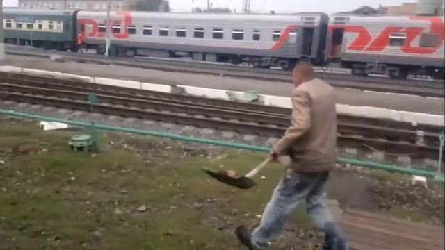 Насрал Убирай смотреть онлайн