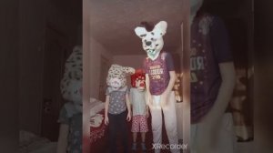 подборка видео про фурри