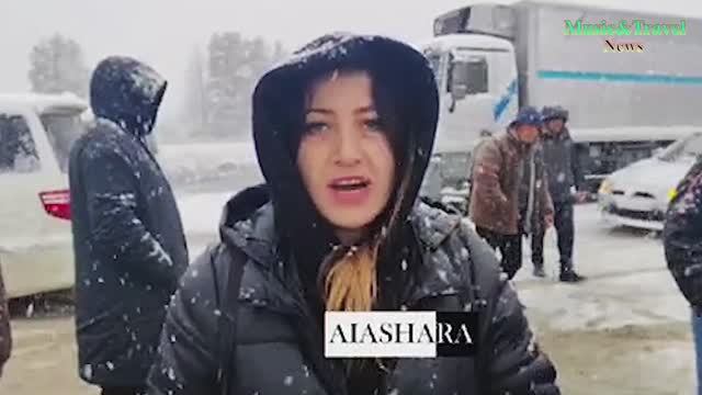 На границе арестовали... мимозу смотреть онлайн