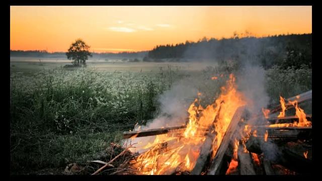 Звуки костра в лесу смотреть онлайн