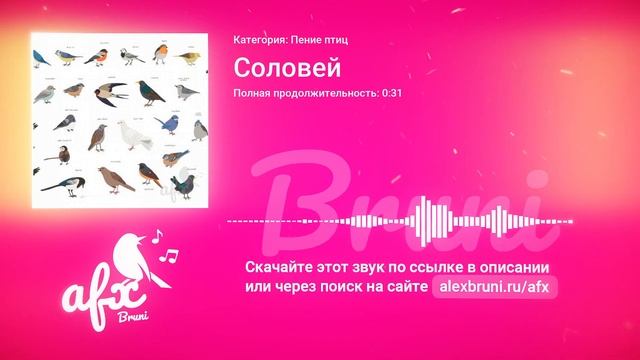 Звук: Соловей смотреть онлайн