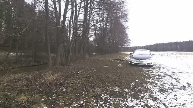 Погнался за кабанчиком