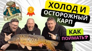 ПОЙМАЛИ 3 ТРОФЕЯ на БОЙЛЫ и выиграли турнир!  КАРПОВАЯ РЫБАЛКА на ВОДОЕМЕ КУТУЗОВО!
