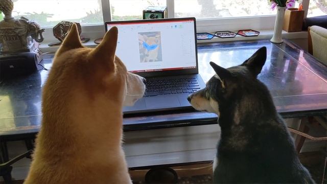 Turn images into 3D printed art using Fusion 360! смотреть онлайн