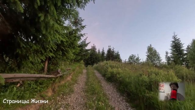 Думал выпереть тёщу из квартиры, но едва она сделала один звонок...