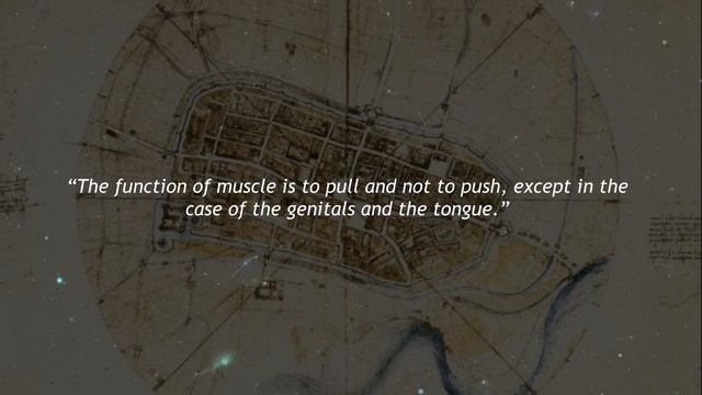 Inspirational quotes. Leonardo da Vinci | Aphorisms смотреть онлайн