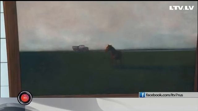 Рубрика Арт-стоп смотреть онлайн