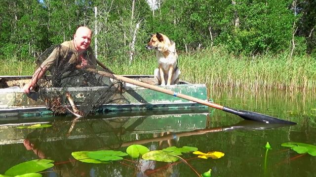 Как поймать раков на Селигере и какой штраф Вам грозит за это