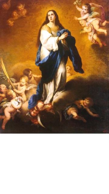#short Todas las Inmaculadas de Murillo. #Murillo #inmaculadaconcepción смотреть онлайн