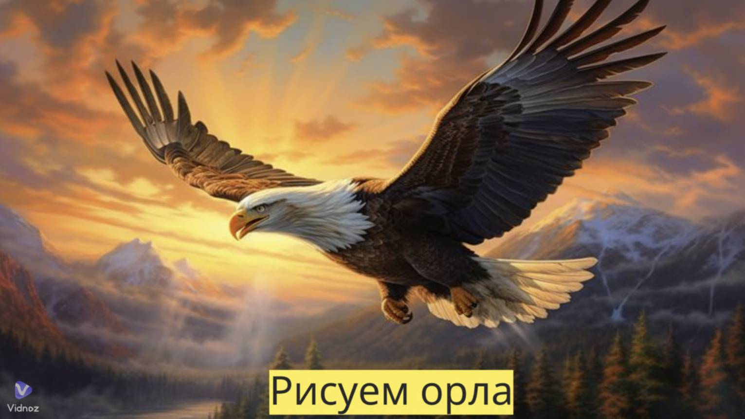 Маленькие художники: Рисуем орла- Детский образовательный мультфильм смотреть онлайн