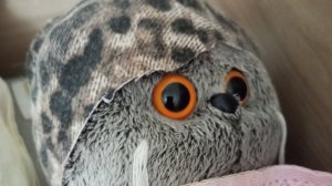 Басик попал в больницу влог: с больным Басиком