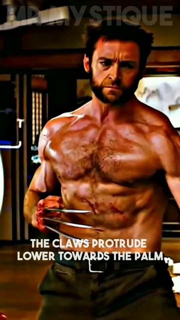 Did you know in Wolverine... смотреть онлайн