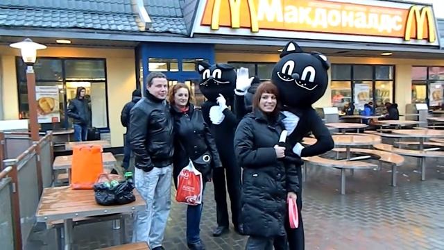 spb коты жгут смотреть онлайн