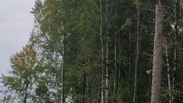 Осень смотреть онлайн