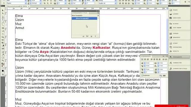 ÇT Adobe InDesign CS4 Eğitimi смотреть онлайн