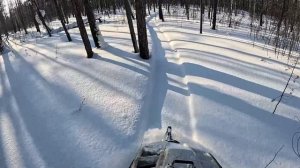 Завершение охоты на соболя. часть 2. Якутия.