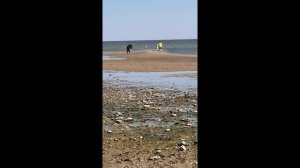 Пешком по Азовскому морю в Таганроге!